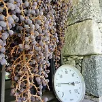 Oasi Ulivi Tatil Evi San Siro (Lombardy)