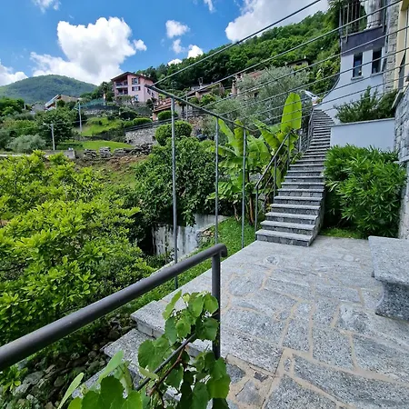 Oasi Ulivi * 산 시로