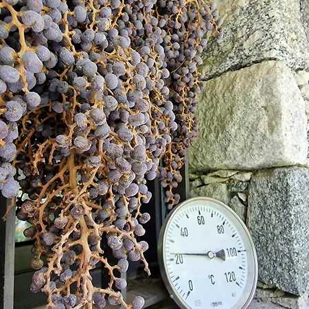 Oasi Ulivi Дом отдыха Сан-Сиро
